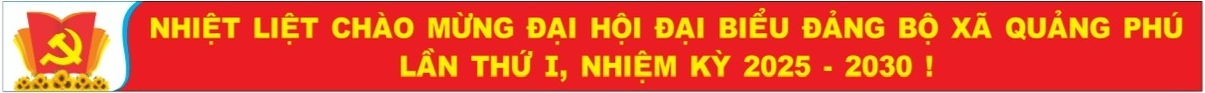 Baner ĐH đảng bộ QP